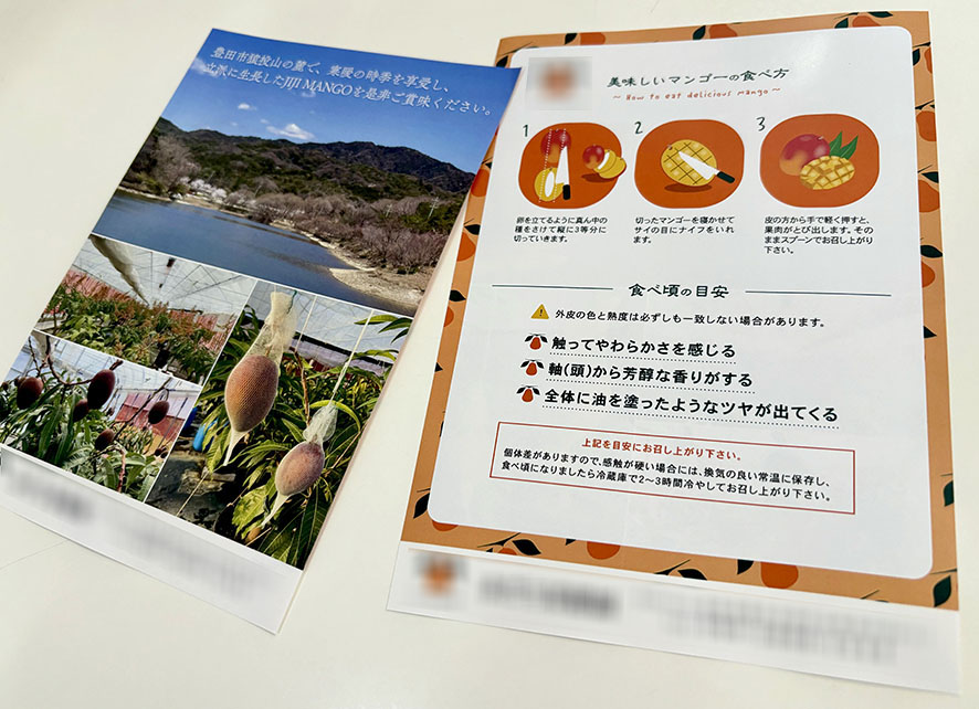 果樹園　フルカラーチラシ